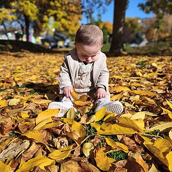 Culegând frunze cu minunea vieții