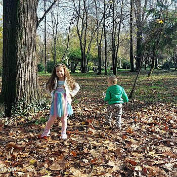 Toamna in mii de culori