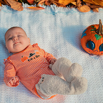 Frunze, un dovlecel zâmbăreț și un alt dovlecel dulce cu ciorapi pufoși