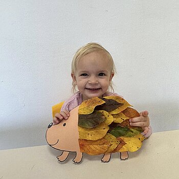 Uite ce pot face cu frumoasele frunze de toamna!