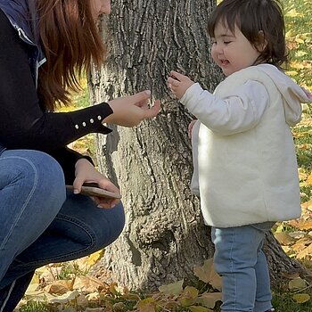 Toamna printre frunzele aurii și castane