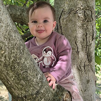 Bebe se distrează in copac