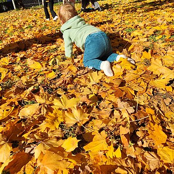 Se vede că este născut la început de octombrie.Adora frunzele ruginii ❤️