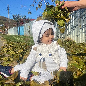 CEA MAI MINUNATA TOAMNA