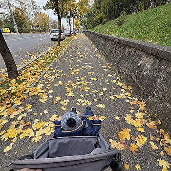 Sezonul preferat🤎💚🧡