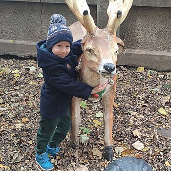 O zi minunata de noiembrie!