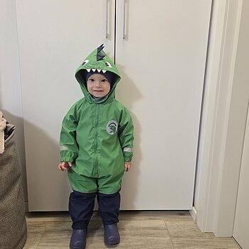 Toamna si dinozaurii