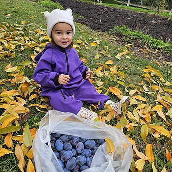 Toamna culegem roadele