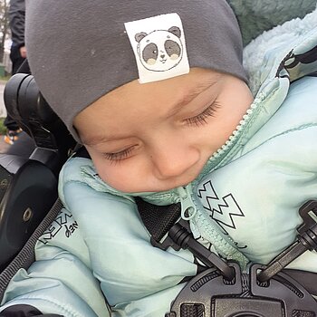 Nani pe timpul toamnei