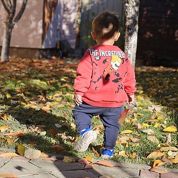 O toamna incredibila