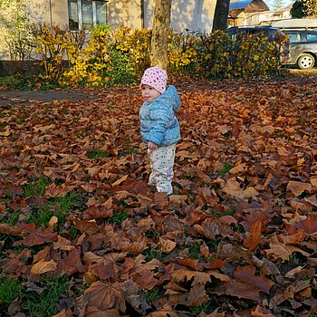 Printre frunzele cazute de pe copaci