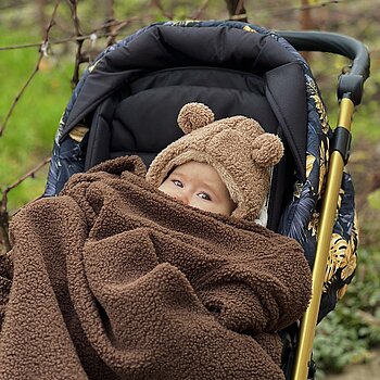 Ursulețul brun 🐻