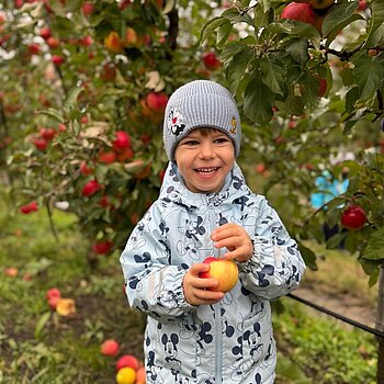 Livezile in rosu si auriu, manutele incarcate de mere si inima plina de veselie.