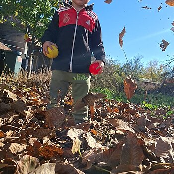 Ne jucam cu frunzele ♥️