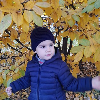 Frunze arămii de toamnă