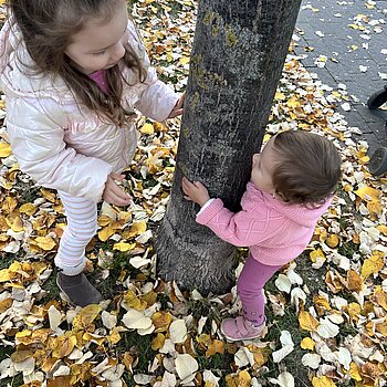 Fericirea sta ascunsă după copaci și frunze galbene