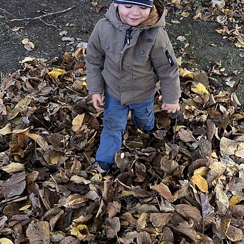 Joaca în frunze uscate este distracția preferată!