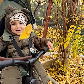 Un zâmbet sincer plin de gingășie privind căderea frunzelor!