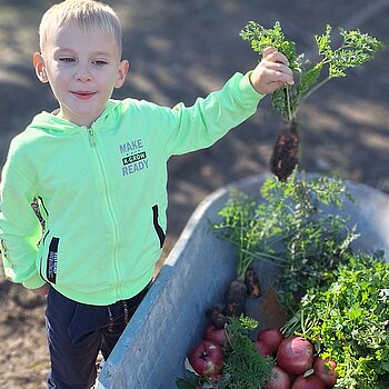 Din grădina bunicii