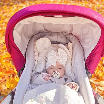 La plimbare prin covorul auriu al toamnei, sub razele sale blânde de soare🥹