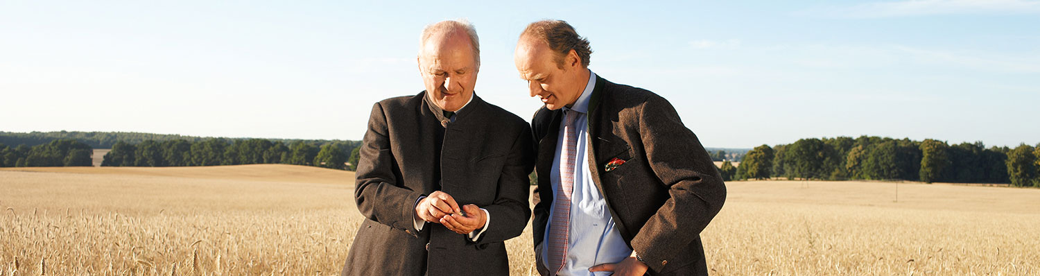 Date & Cifre