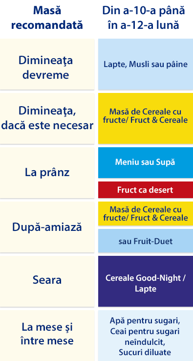 Un grafic structurat care detaliază un plan de masă recomandat pentru un copil de 1 an, împărțit în secțiuni zilnice, specificând tipul de alimente care trebuie administrate la fiecare masă.