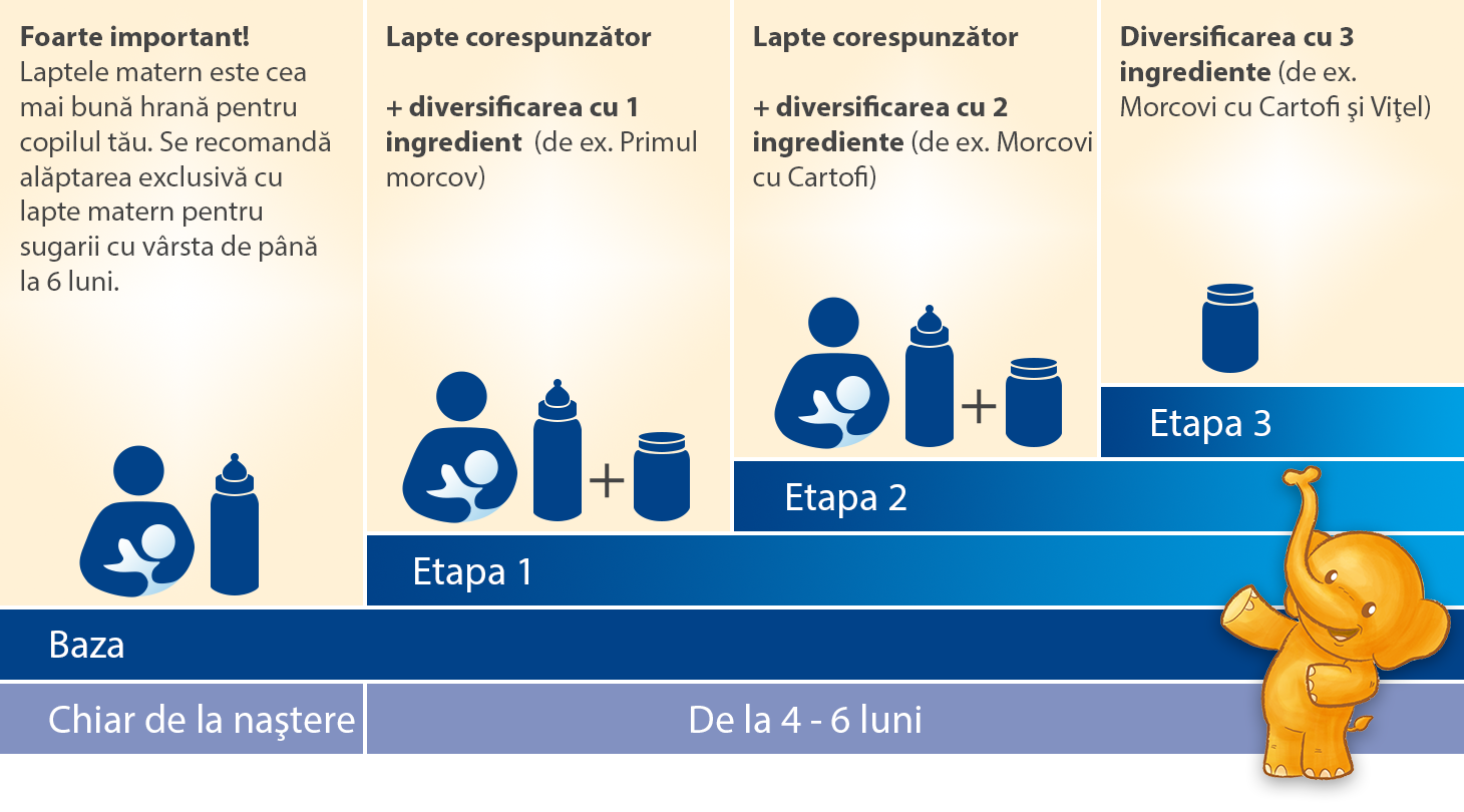 Un ghid pas cu pas pentru introducerea alimentelor solide la un bebeluș, începând cu un singur ingredient și progresând până la trei ingrediente, cu accent pe intervalul de vârstă 4-6 luni.