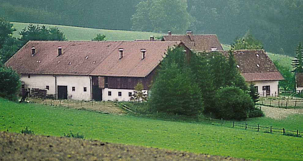 O scenă rurală cu o clădire albă, acoperișuri maro și câmpuri verzi.