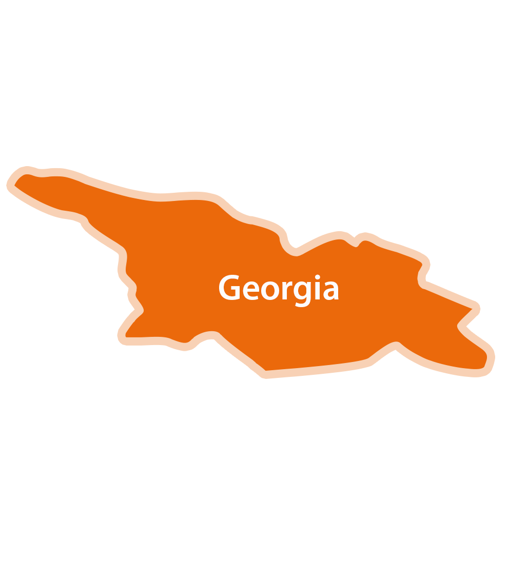 O siluetă a unei țări cu numele "georgia" scris în interior.