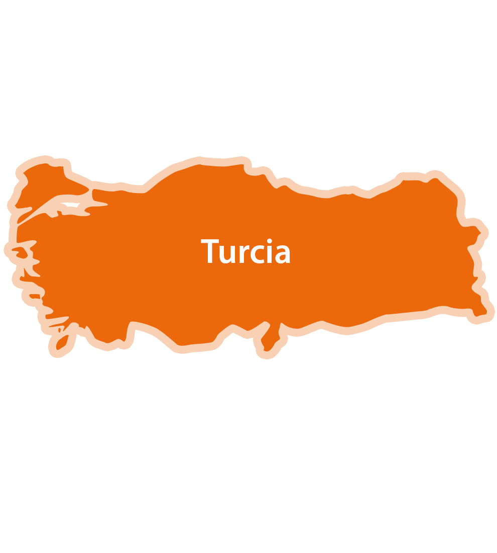 O hartă simplificată a unei mase de pământ pe care este scris numele "Turcia".