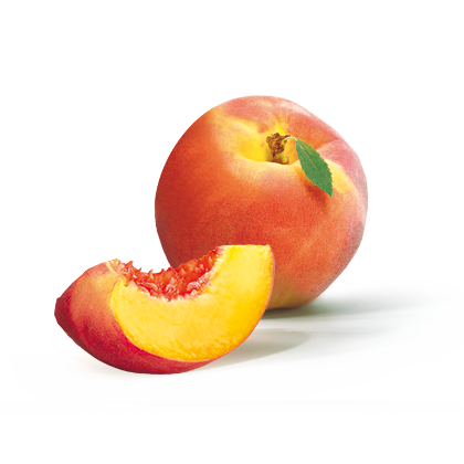 Piersică