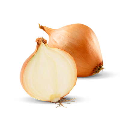 Ceapă